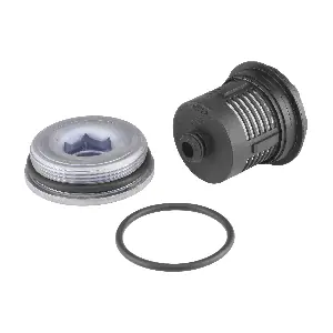 DS120456 BorgWarner