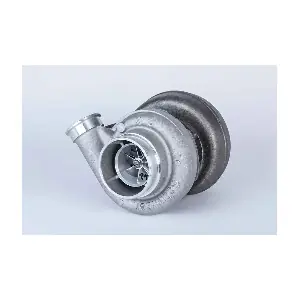 13809880000 BorgWarner