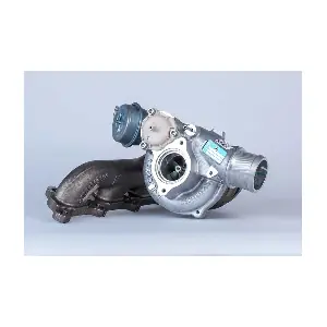 BorgWarner 53039980110