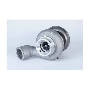 319087 BorgWarner