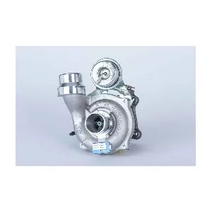 BorgWarner 54359980029