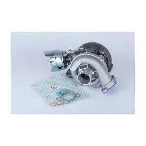 BorgWarner 57399880000