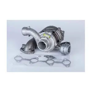 57439900001 BorgWarner