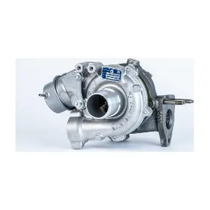 54389880018 BorgWarner