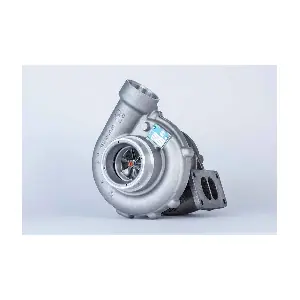 53319887137 BorgWarner