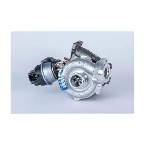 53039880190 BorgWarner