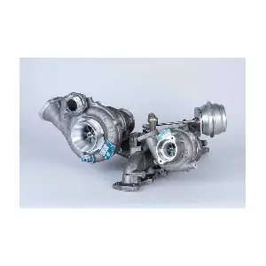 10009980164 BorgWarner