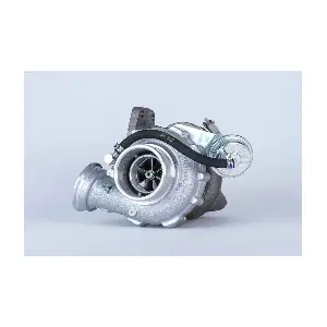 53169887139 BorgWarner