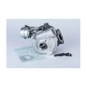 57519880001 BorgWarner