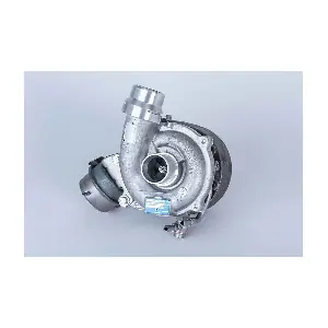 5439 998 0080 BorgWarner