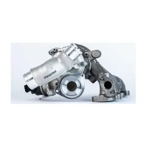 16309980005 BorgWarner