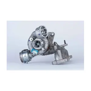 54399880048 BorgWarner