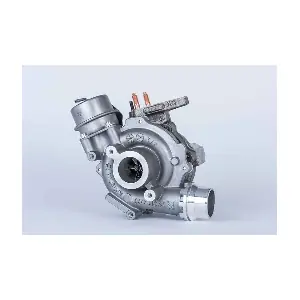 54389880006 BorgWarner