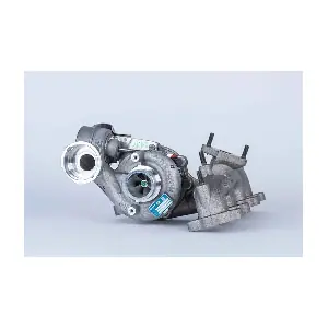 54399880020 BorgWarner
