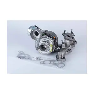 57439900013 BorgWarner