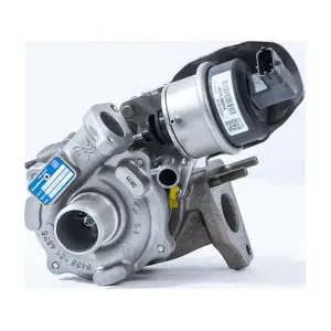 54309880000 BorgWarner