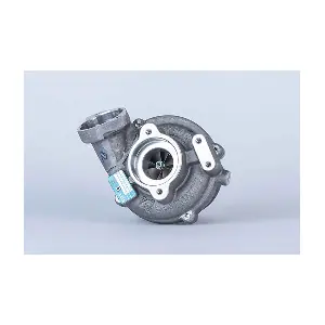 54399900089 BorgWarner