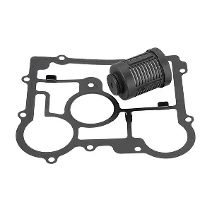 BorgWarner DS2006273