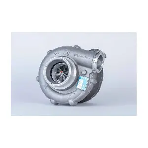 53299887131 BorgWarner