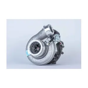 53319887145 BorgWarner
