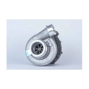 53319887142 BorgWarner