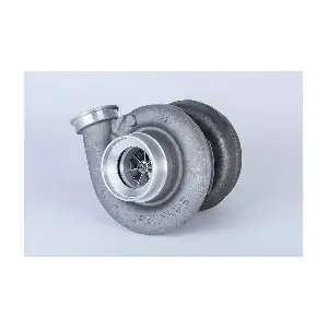 319359 BorgWarner