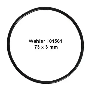 101561 BorgWarner
