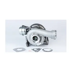 BorgWarner 57479880005