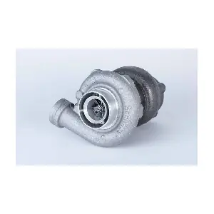 BorgWarner 319278