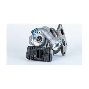 54359980060 BorgWarner