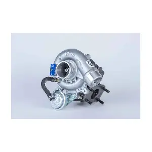 53039880089 BorgWarner