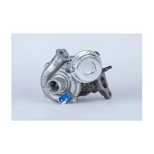 BorgWarner 16359880032