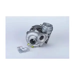 57439900006 BorgWarner