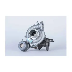 54399880093 BorgWarner
