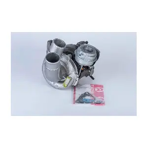 57439900007 BorgWarner