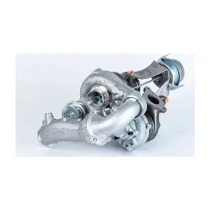 BorgWarner 10009900074