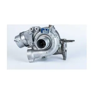 54389880017 BorgWarner