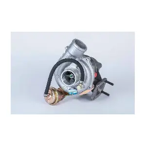 BorgWarner (3K) 53039880075