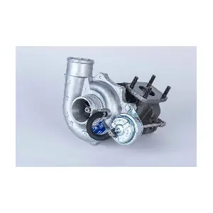 53039880078 BorgWarner (3K)