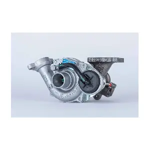 BorgWarner (3K) 54359880009