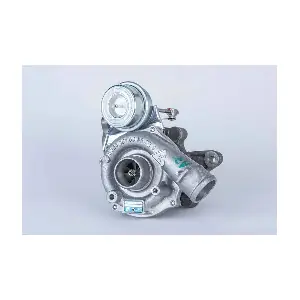 BorgWarner (3K) 53039880050
