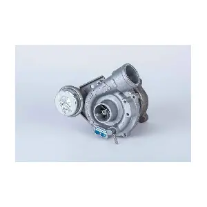 53039880029 BorgWarner (3K)