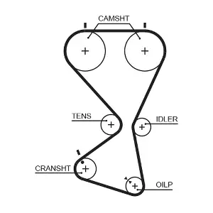 GATES 5556XS