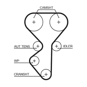 GATES 5631XS