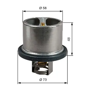 TH51785G1 GATES