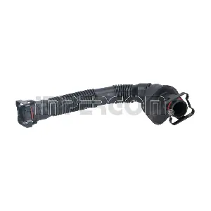 225991 ORIGINAL IMPERIUM