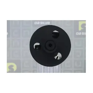 DP3489 DA SILVA