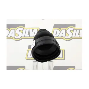 DA SILVA K2020