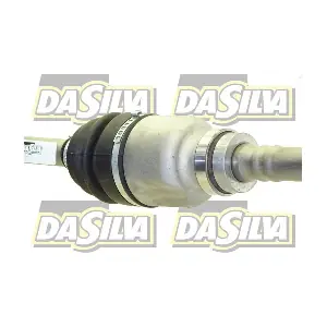 JC181 DA SILVA