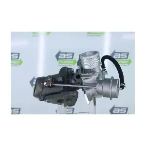 50329 TURBOS MIGNE